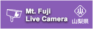 Mt. Fuji Live Camera